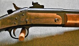 Image result for 45 70 Buffalo Gun