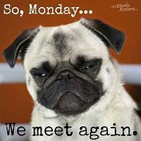 Image result for Happy Monday Dog Meme