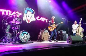 Image result for Stray Cats Gatefold 45