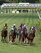Image result for Horse New York Thunder Injury at Saratoga Race Track