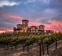 Image result for Tamacula Winery