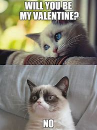 Image result for Rainbow Cat Meme Valentine's Day