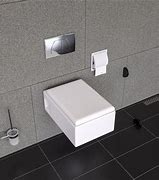 Image result for Wall Toilet Flush Button