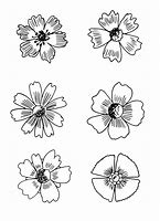 Image result for Noir Et Blanc Flower PNG
