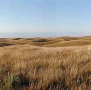 Image result for lands america texas