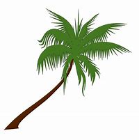 Image result for Free Palm Tree Clip Art Black and White