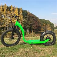 Image result for Fat Tire Kick Scooter
