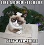 Image result for Arrogant Cat Meme