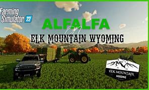 Image result for alfzlfa