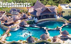 Image result for Dolphinaris Cozumel