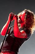 Image result for Chris Cornell On Stage