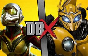 Image result for Wasp vs Bumblebee