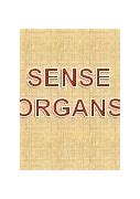 Image result for Sense Organ Poem