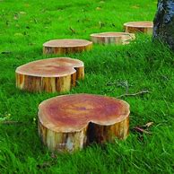 Image result for Wooden Stepping Stones for Garden
