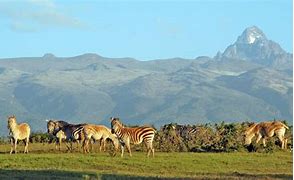 Image result for Mount Kenya Seers