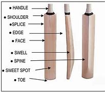 Image result for Cricket Wicket Parts