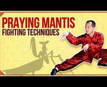 Image result for Deadly Mantis Kung Fu