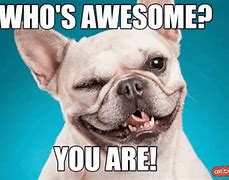 Image result for You Are Awesome Meme Cute