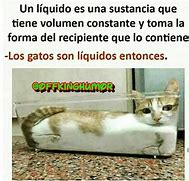 Image result for Gato Meme Español