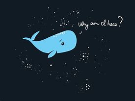 Image result for Hitchhiker's Guide Whale Quote