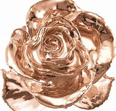Image result for 24K Gold Rose