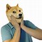Image result for Dog Phone Call Meme