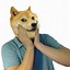 Image result for Doge Body Roblox