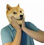 Image result for Lost Dog Haircut Meme