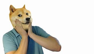 Image result for Doge Meme PFP 1080X1080