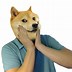 Image result for Cat Dog Memes