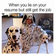 Image result for Meme When You Lie On Your Resume Sheepdog