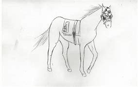 Image result for Secretariat Horse Drawings