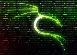 Image result for Kali Linux JPEGs