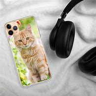 Image result for Orange Cat iPod Case