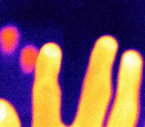 Image result for Termic Scanner Fingerprints