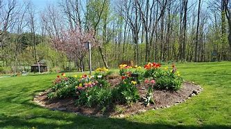 Image result for The Barnyard Macungie Pa