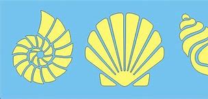 Image result for Shell SVG Template