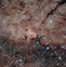 Image result for Oldest Galaxy
