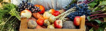 Image result for Local Produce Banner