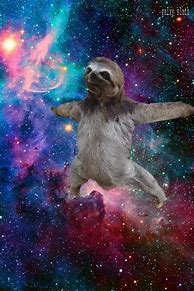 Image result for Sloth in Space Wall Art