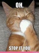 Image result for Cat Memes Blushy