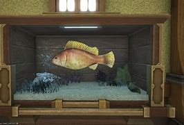Image result for FFXIV Saltwater Fish