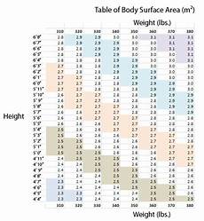Body Surface Area Chart With Photos