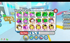 Image result for Best Pet Sim X Inventory