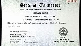 Image result for Business License Example Fillable
