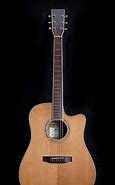 Image result for Kytary Guitar