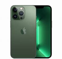 Image result for iPhone 13 Pro Alpine Green with Black Case