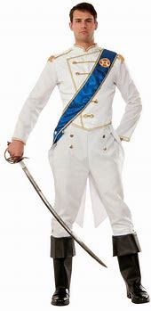 Image result for Prince Charming Costume Cape