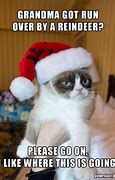 Image result for Grumpy Cat Xmas Meme