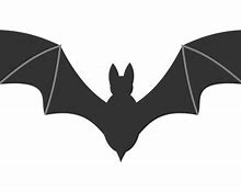 Image result for Bat Shape